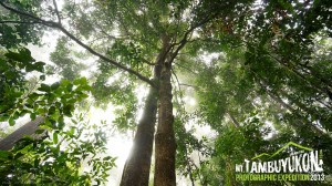 Mount Tambuyukon Expedition  
